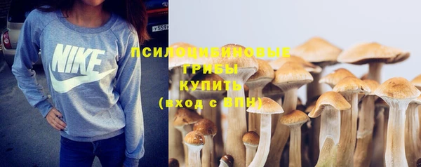 jwh Алзамай
