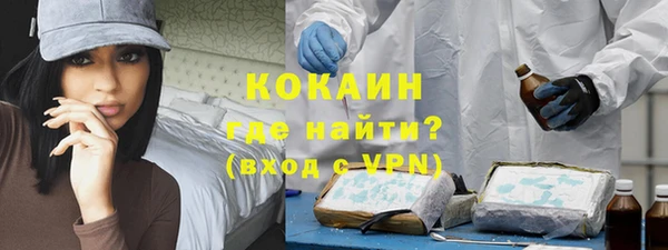 СК Алексин