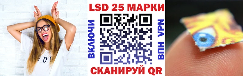 продажа наркотиков  ОМГ ОМГ tor  Марки NBOMe 1500мкг  Петропавловск-Камчатский 