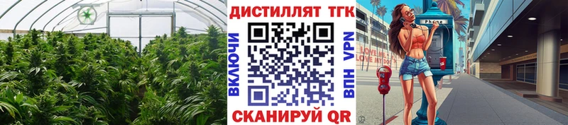 купить наркоту Петропавловск-Камчатский кракен ONION ТГК жижа