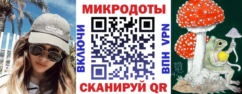 закладка Петропавловск-Камчатский Псилоцибиновые грибы Psilocybine cubensis