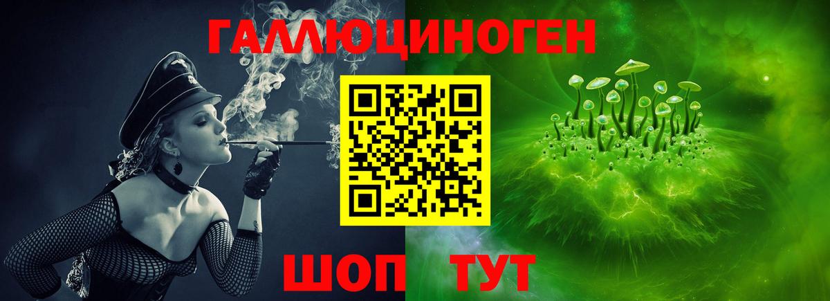 Петропавловск-Камчатский  Псилоцибиновые грибы Psilocybine cubensis  Вход с VPN 